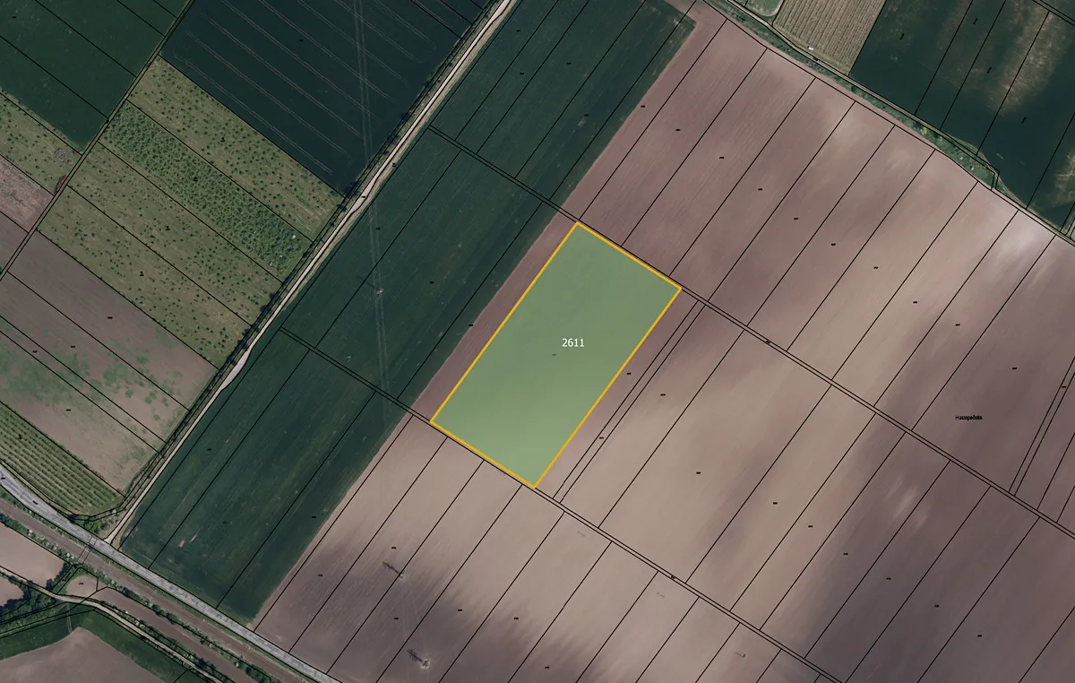 Prodej pole 30381 m²